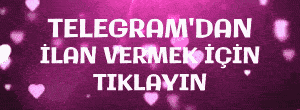 Kayserikobirehberi.com - Kayseri